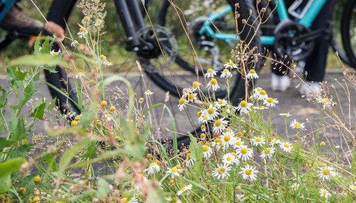 BH FB 2025 - 2025-11-19T122149.590.jpg